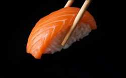 Salmon