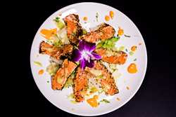Yummy Salmon